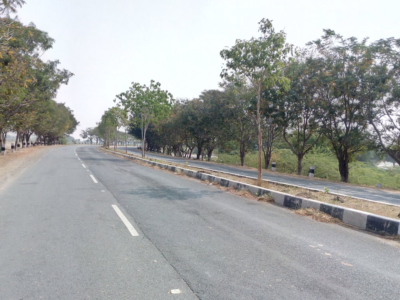 आंध्र प्रदेश का पुलिवेंदुला शहर (फ़ाइल फ़ोटो)