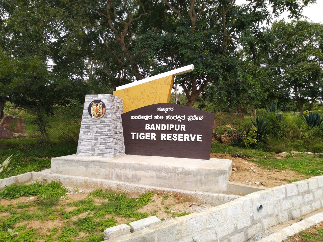 कर्नाटक के बांदीपुर टाइगर रिजर्व का जंगल (फ़ाइल फ़ोटो)