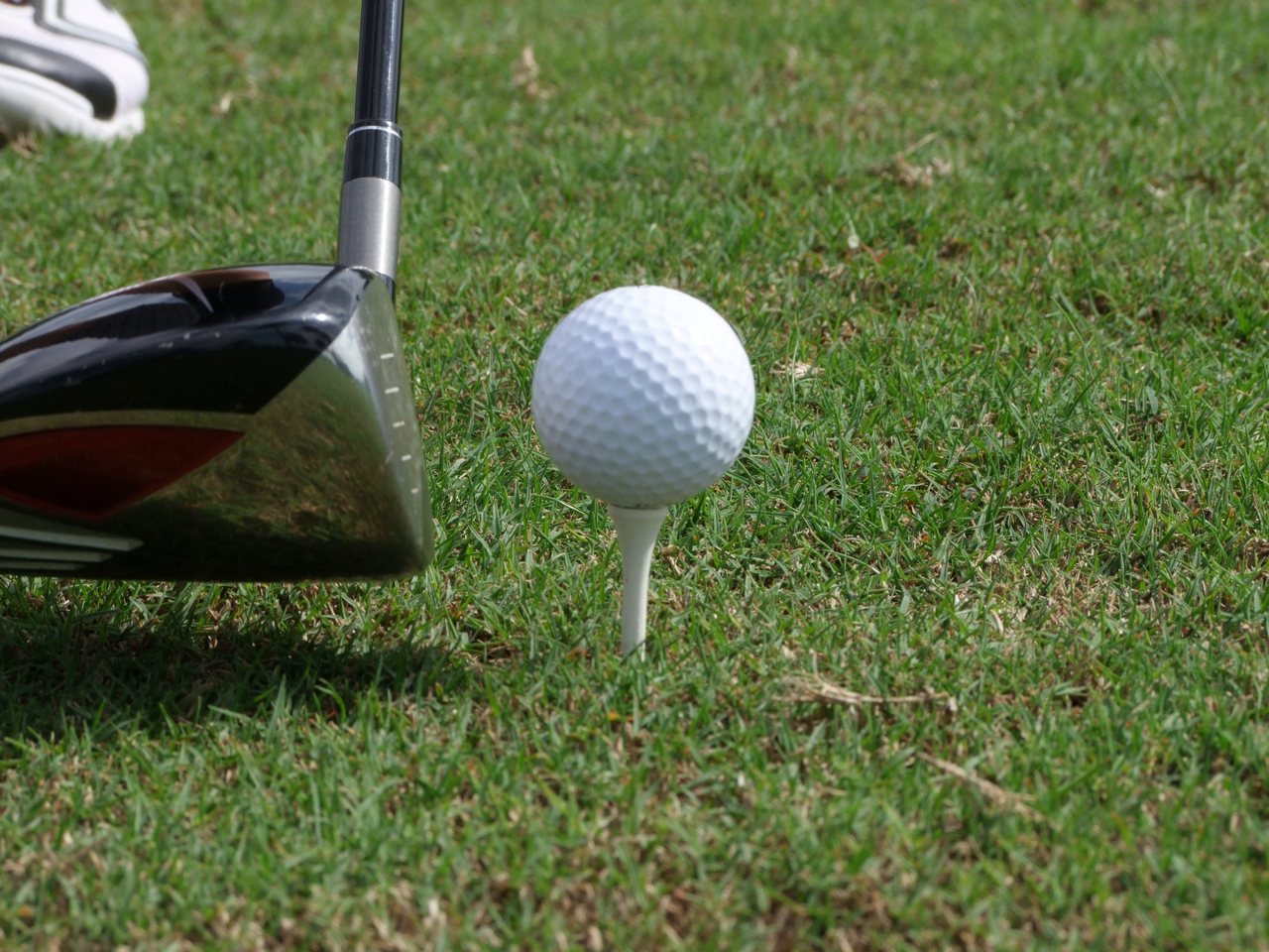 A golf ball on a tee (file photo)