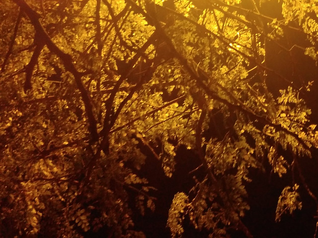 Smog over Delhi (file photo)