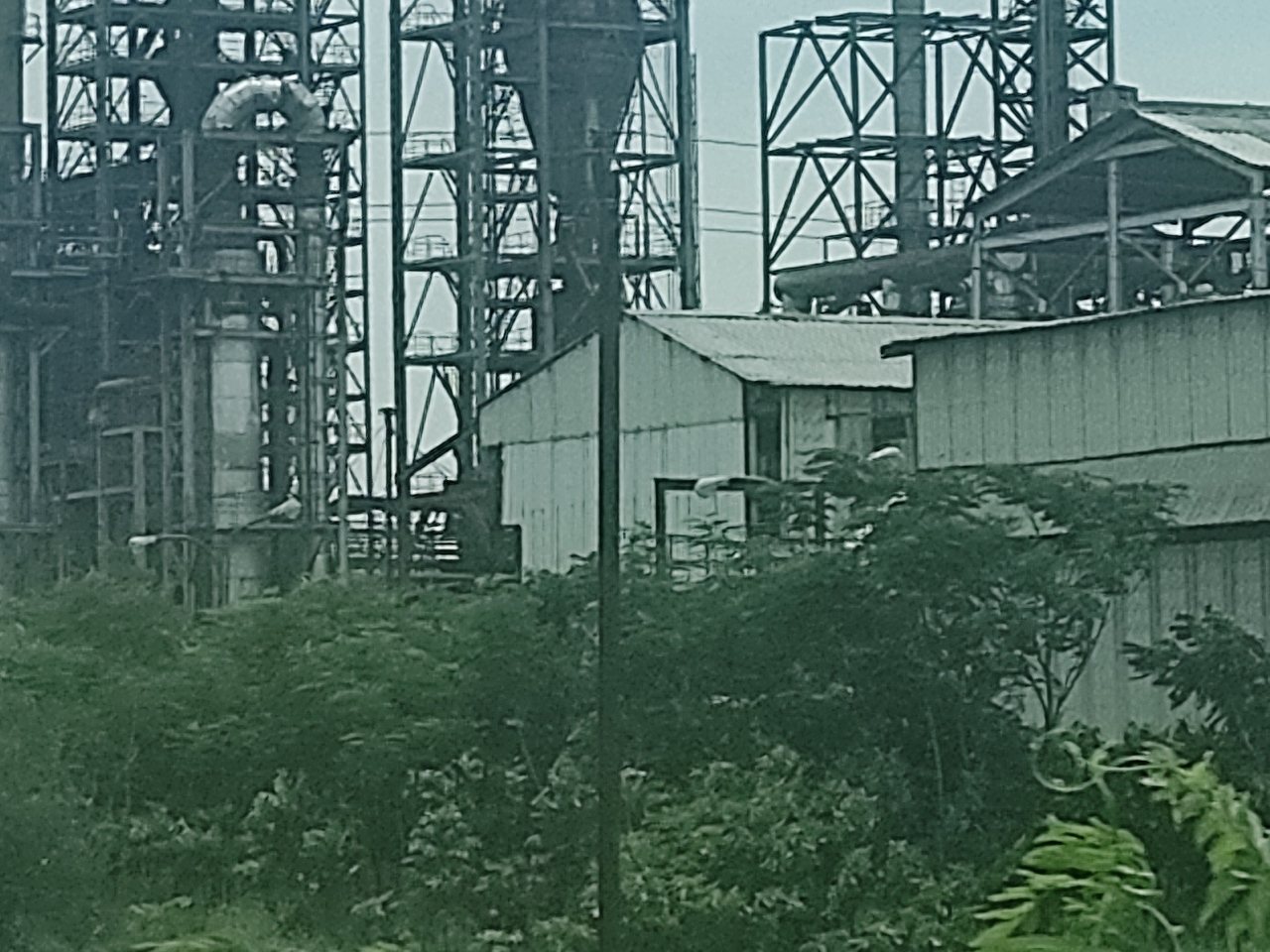 हिमाद्री स्पेशियलिटी केमिकल का परिसर (फ़ाइल फ़ोटो)