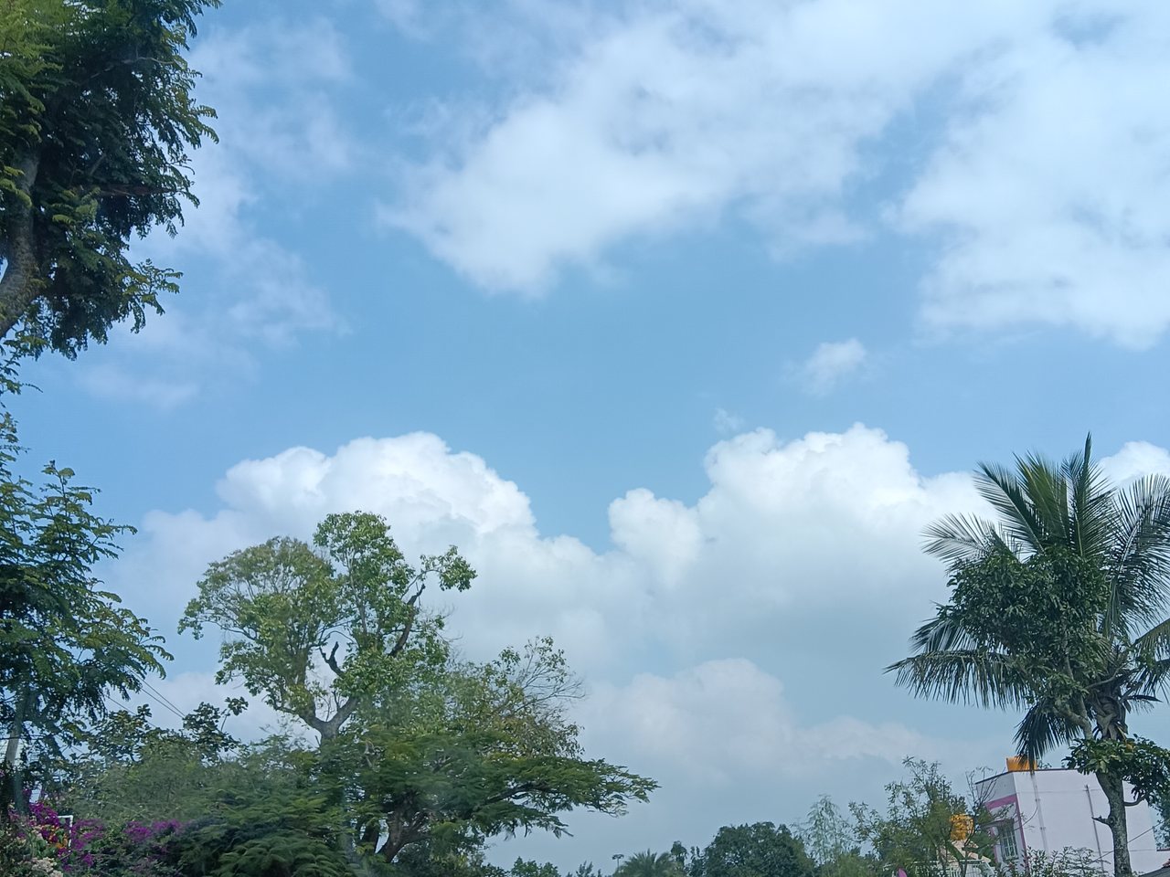 कर्नाटक में चिक्कमगलुरु के आसपास की पहाड़ियां (फ़ाइल फ़ोटो)
