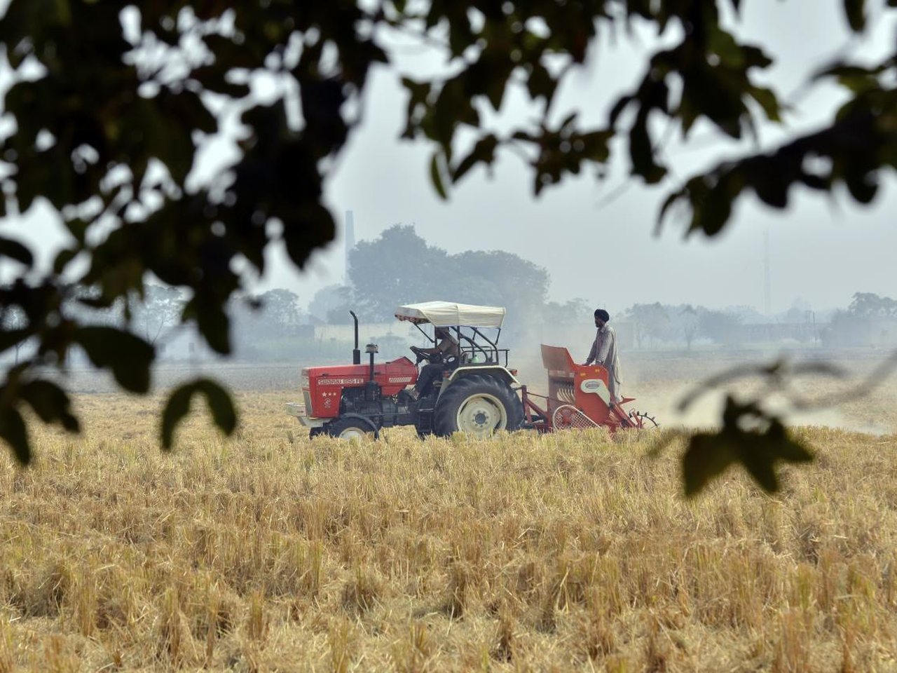 Stubble burning in a Punjab field