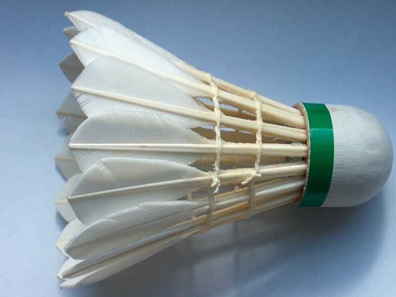 A badminton shuttlecock (file photo)