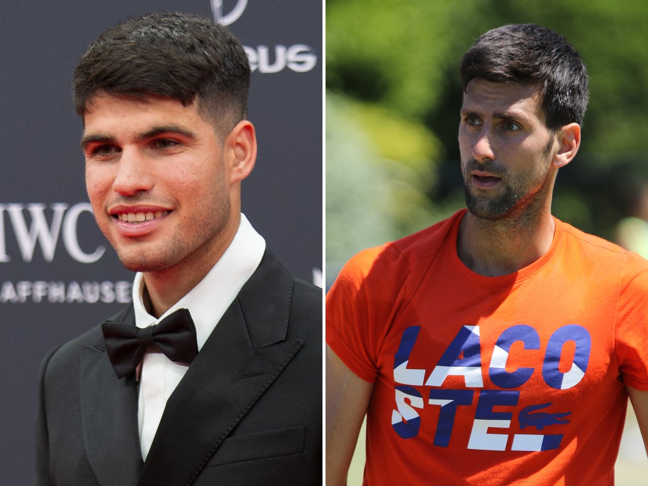 Tennis player Carlos Alcaraz and Tennis player Novak Djokovic (file photos)
