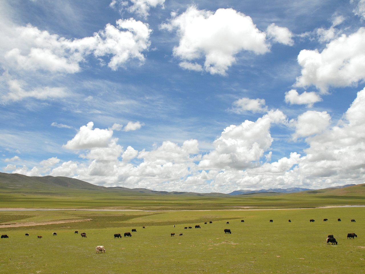 Nagqu on the Tibetan plateau (file photo)