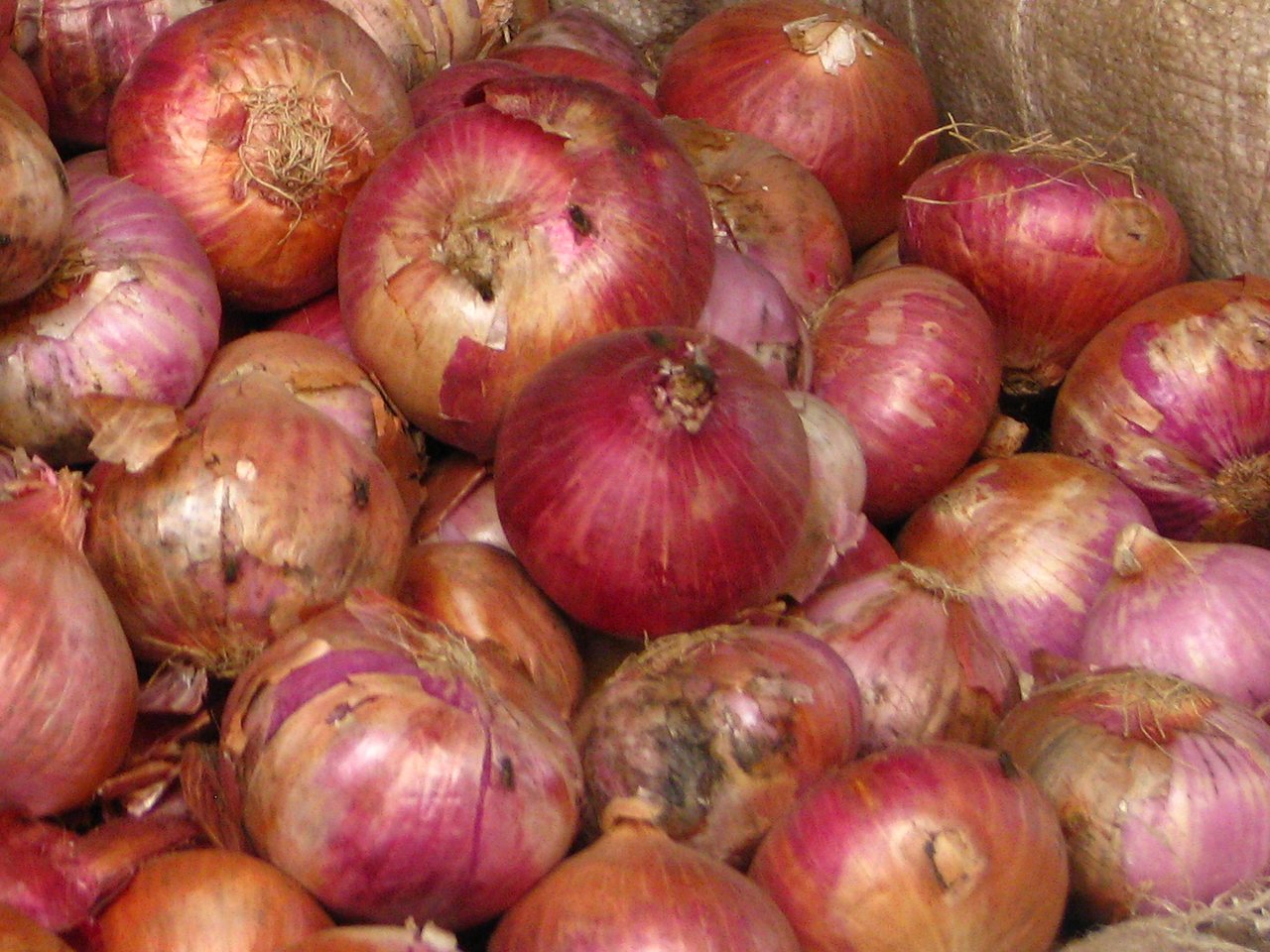 Onions on sale at an Indian market