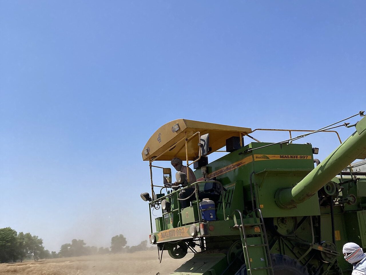 Sacks of grain at a mandi in Punjab